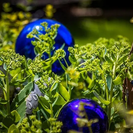 Oberlettlhof Apartment Saalfelden