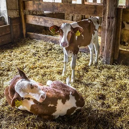 Apartment Oberlettlhof Saalfelden