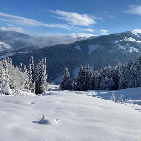 Oberlettlhof Apartment Saalfelden