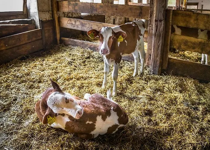 Appartamento Oberlettlhof Saalfelden