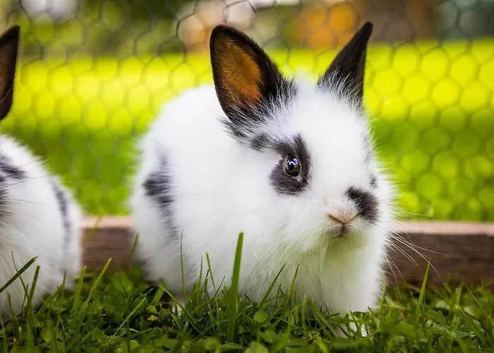 Oberlettlhof Appartamento *